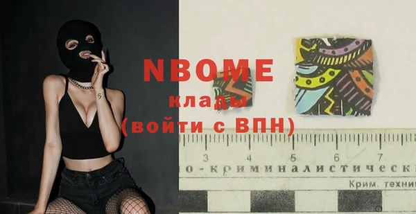 прущий лед Алзамай