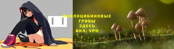 мяу мяу кристалл Алексин