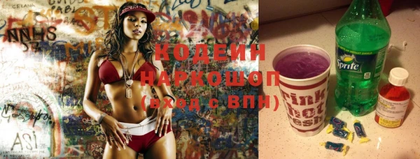 прущий лед Алзамай
