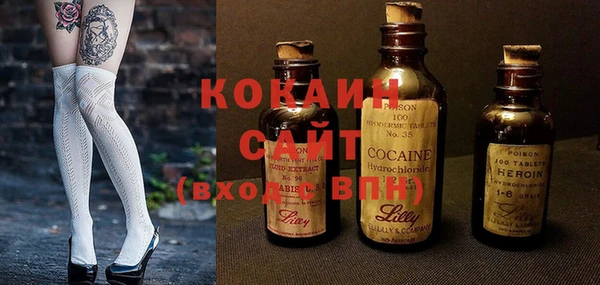 индика Алексеевка